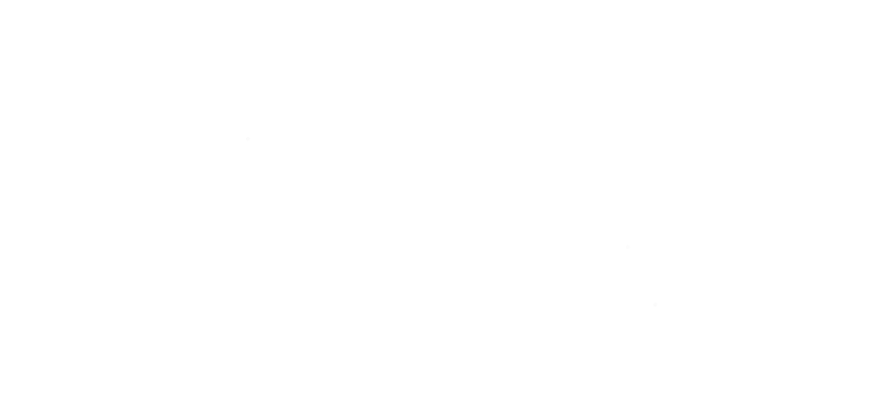 Datendiebstahl